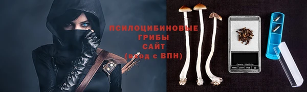 мяу мяу мука Кинешма