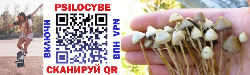 Галлюциногенные грибы GOLDEN TEACHER  omg зеркало  Тутаев 